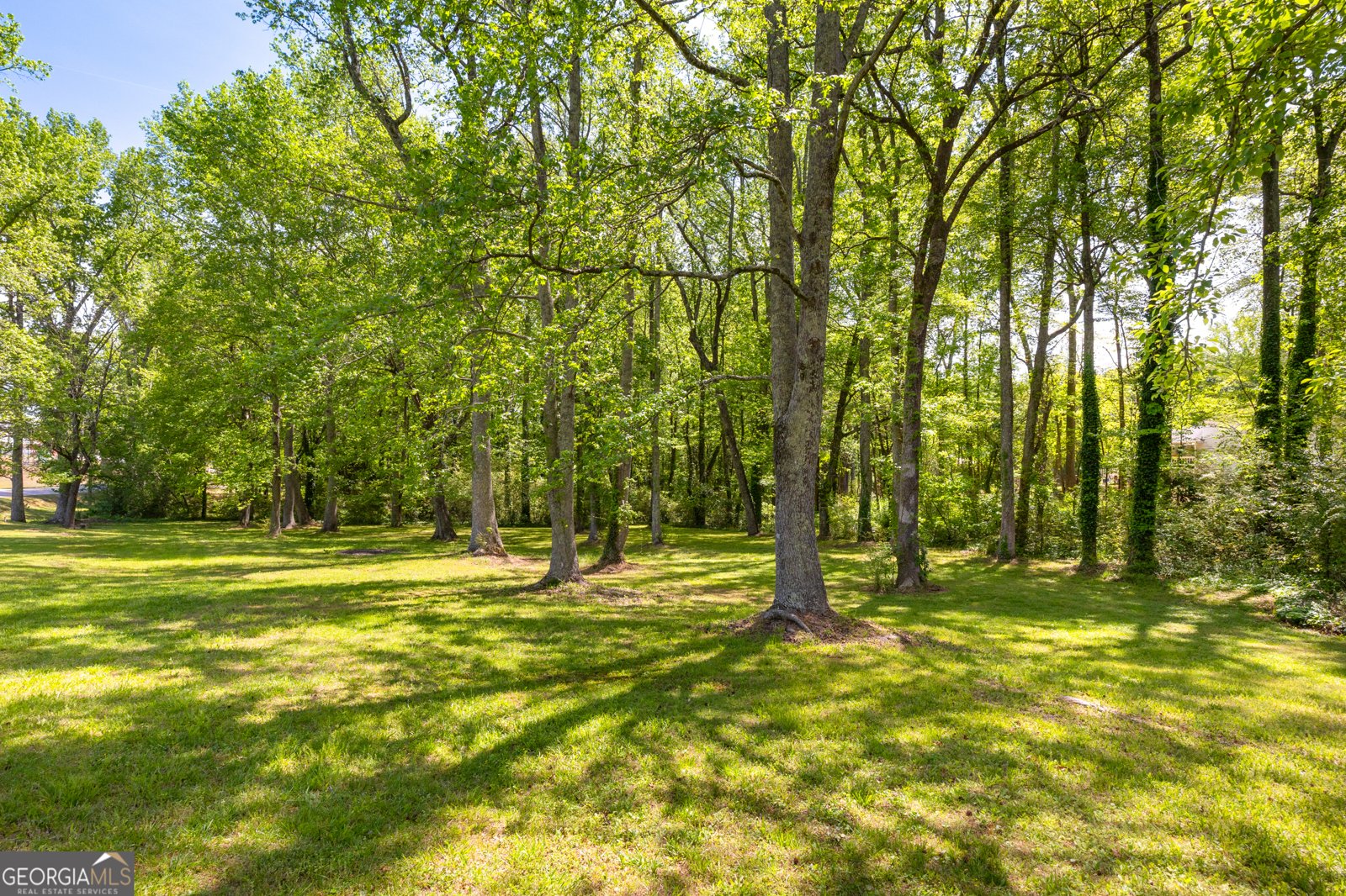 175 Hart Road Dallas - Photo 30