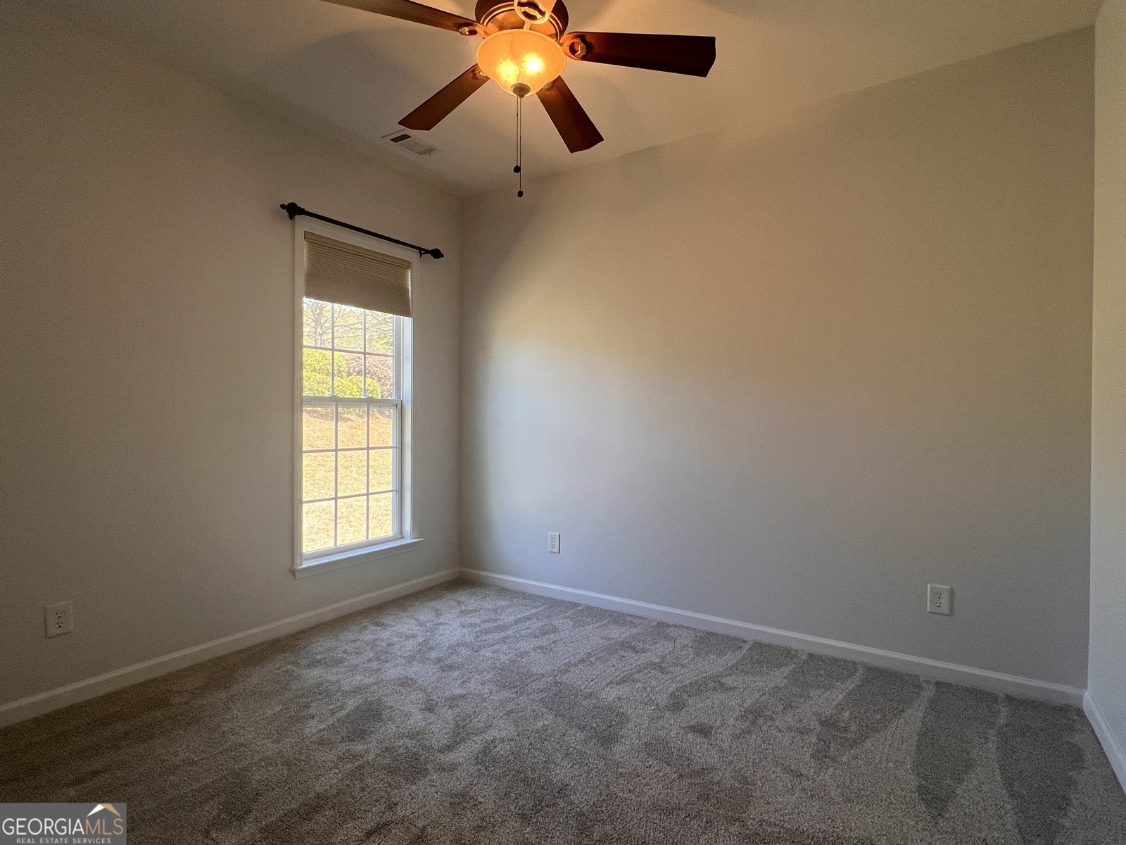 130 Magic Lily Drive Griffin - Photo 17