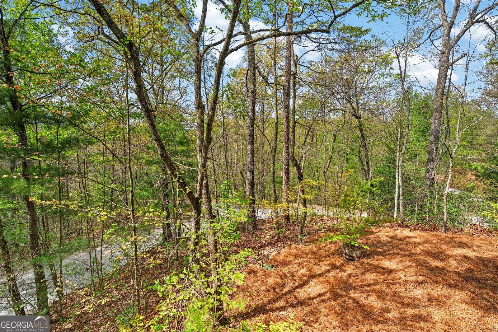 122 N Moreland Drive Blue Ridge - Photo 30