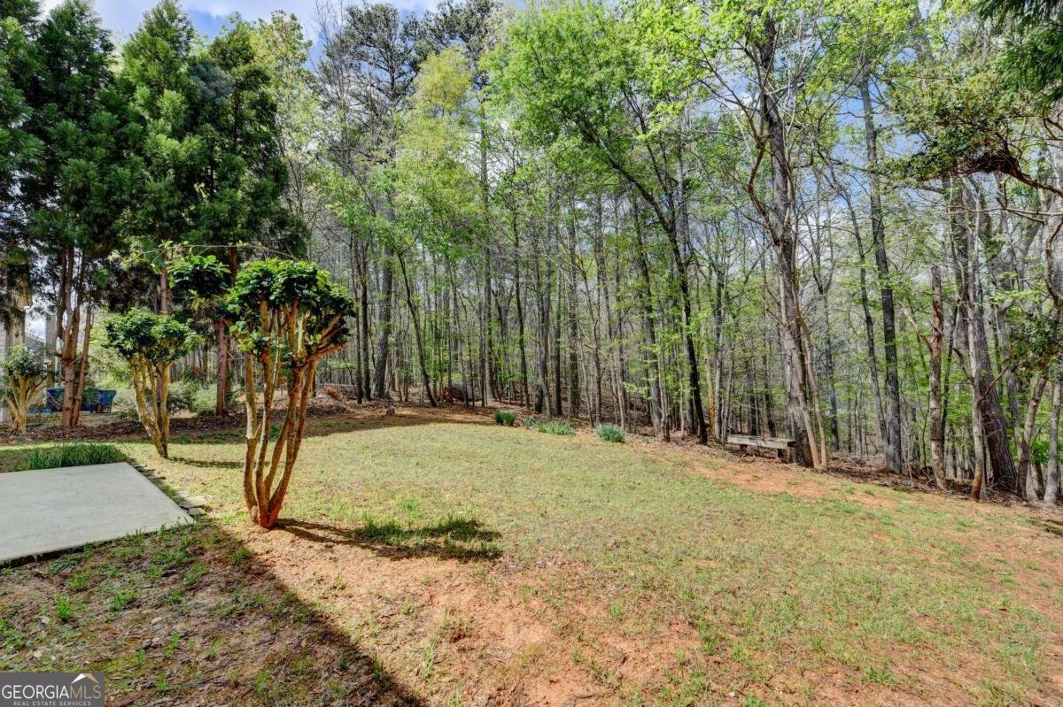 2163 Soque River Drive Duluth - Photo 58