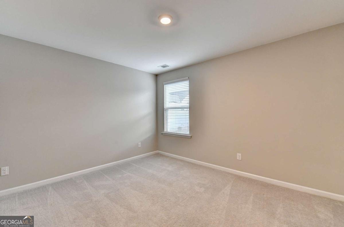 4335 Magpie Drive Hoschton - Photo 47