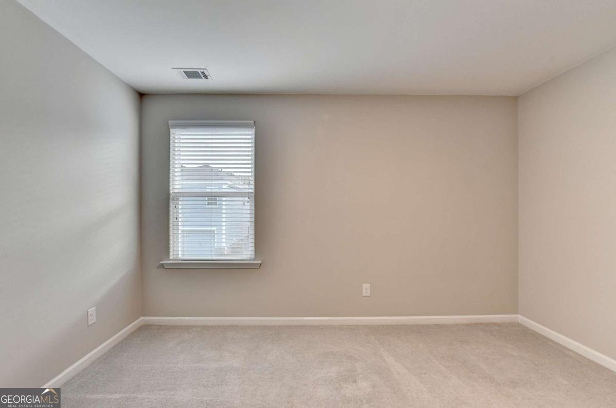 4335 Magpie Drive Hoschton - Photo 49