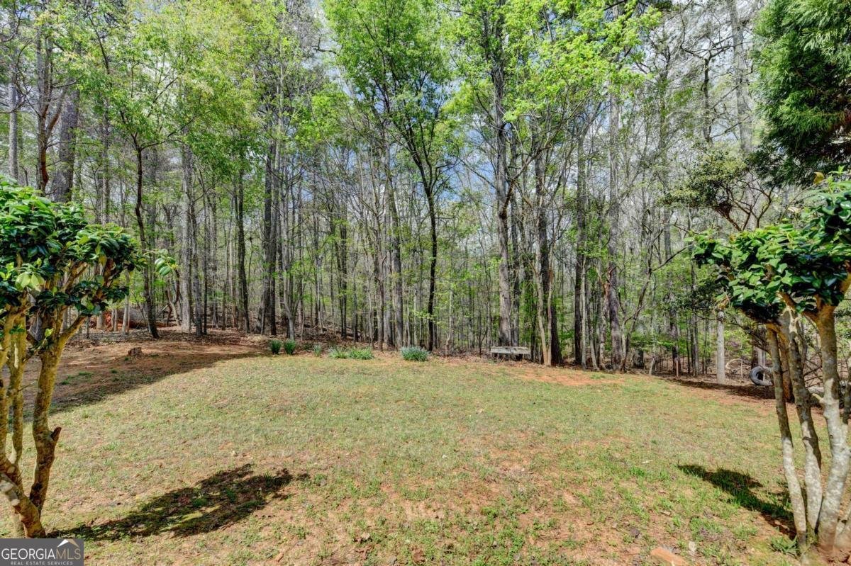 2163 Soque River Drive Duluth - Photo 59