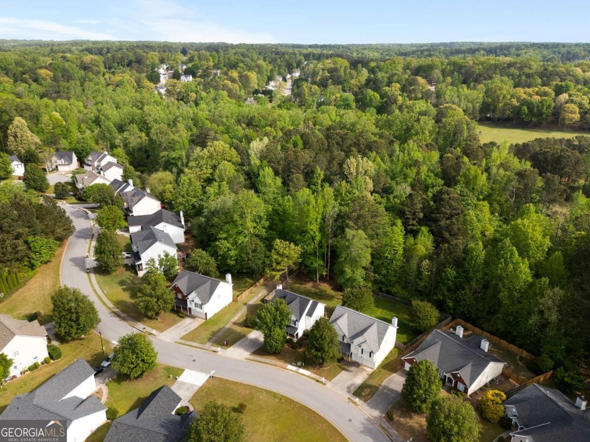 284 Covington Drive Hiram - Photo 39