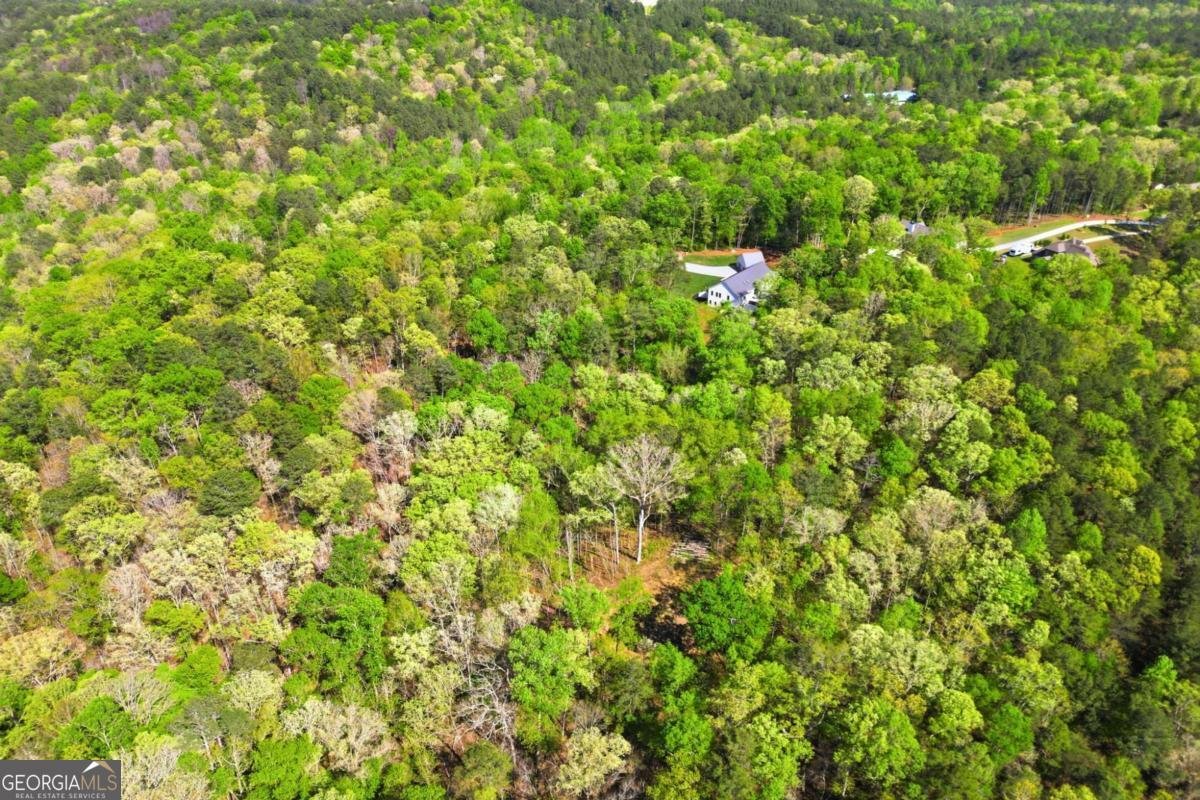 498 Old Mount Carmel Road Canton - Photo 75