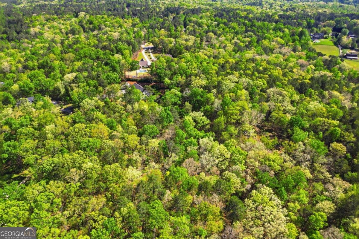 498 Old Mount Carmel Road Canton - Photo 76