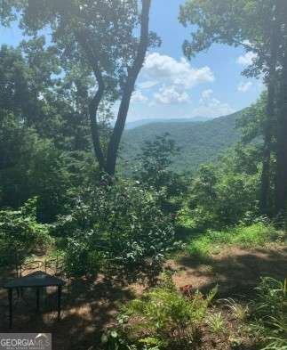 1900 Long Ridge Road Hiawassee - Photo 33