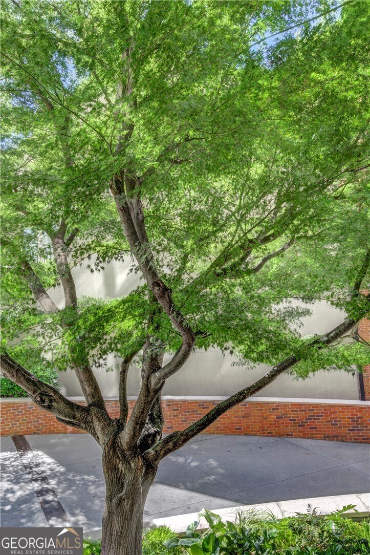 2626 Peachtree Road Atlanta - Photo 27