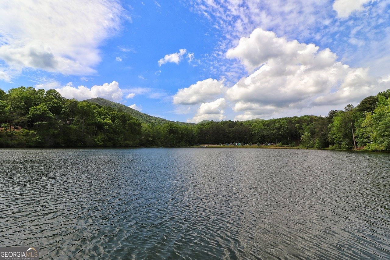 25 Valley View Vista Jasper - Photo 31