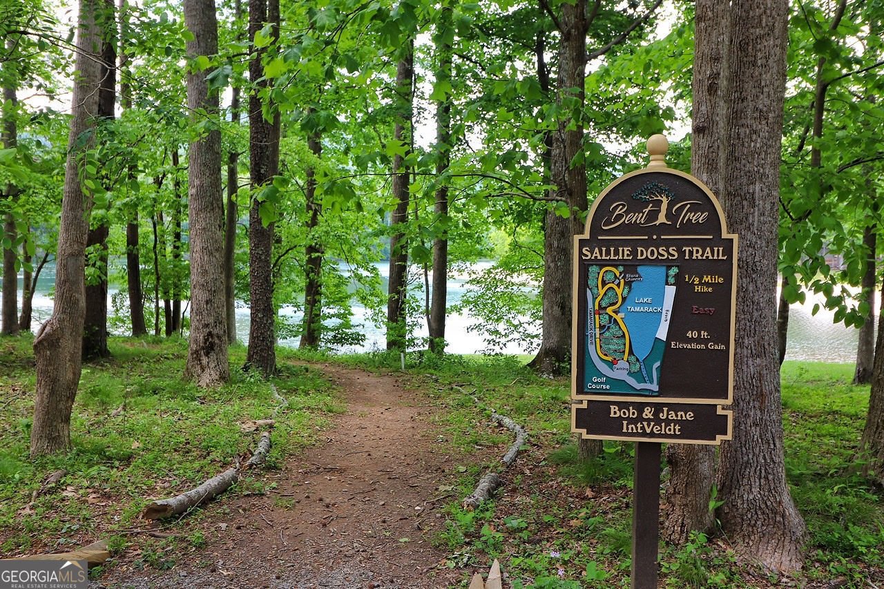 25 Valley View Vista Jasper - Photo 34