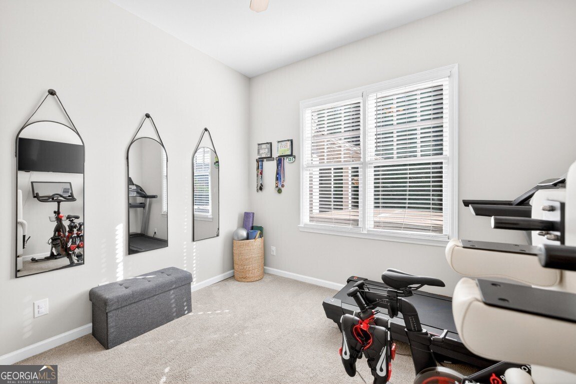 2869 Wild Rose Street Buford - Photo 45