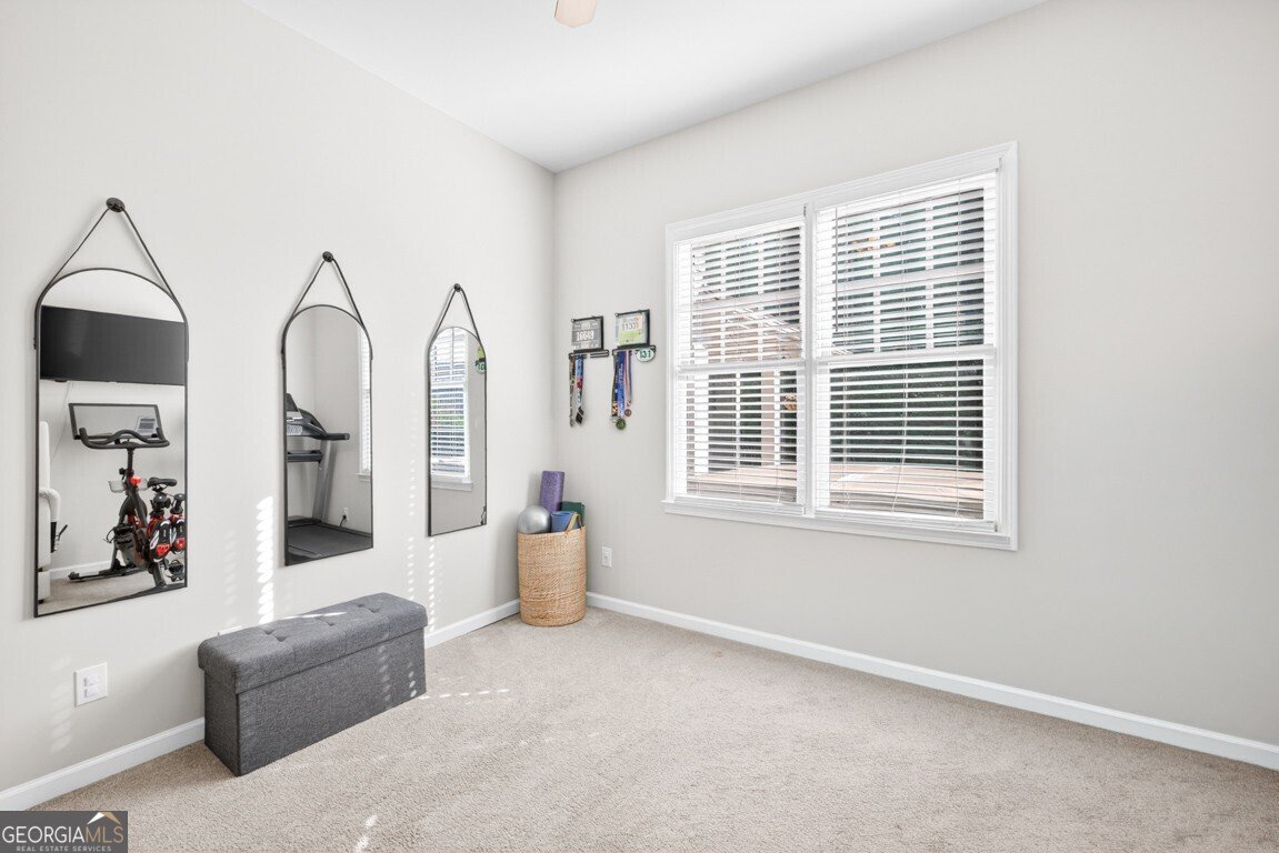 2869 Wild Rose Street Buford - Photo 46