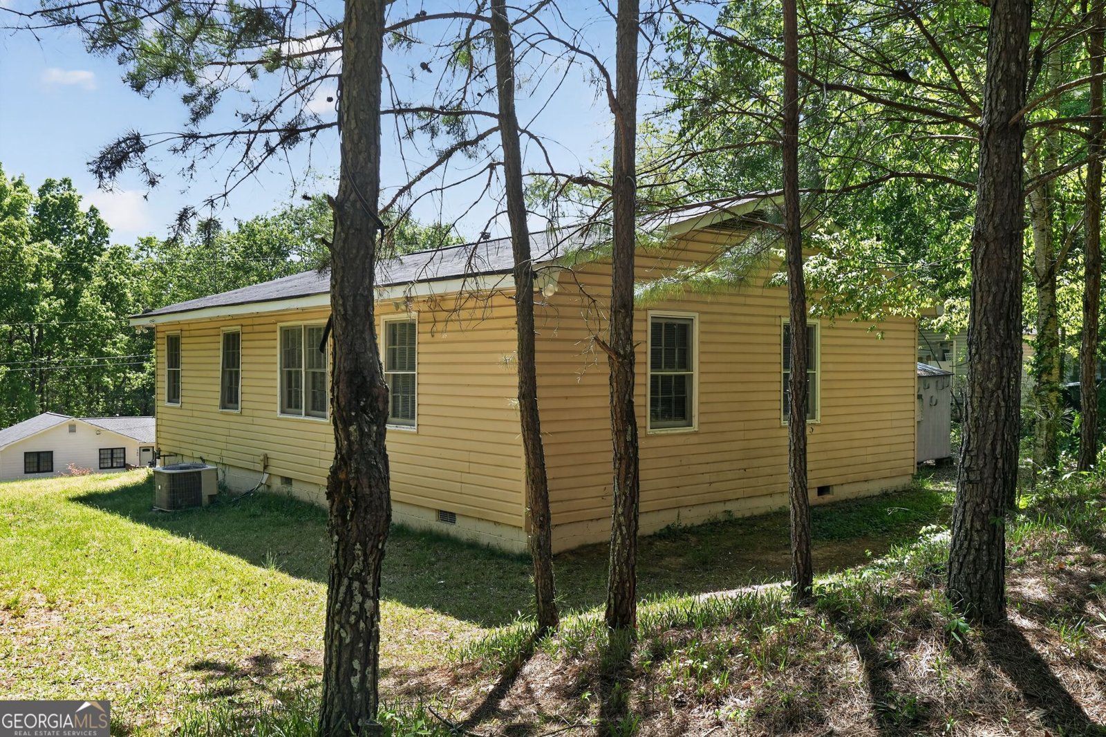 181 Pine Grove Drive Canton - Photo 29