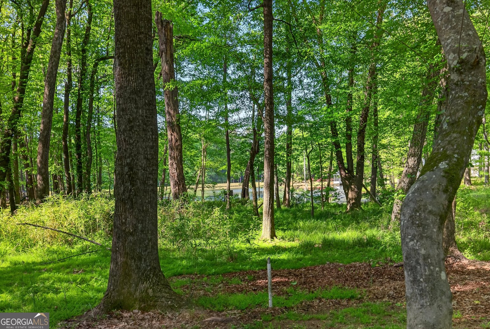 290 Youngs Circle Fayetteville - Photo 66