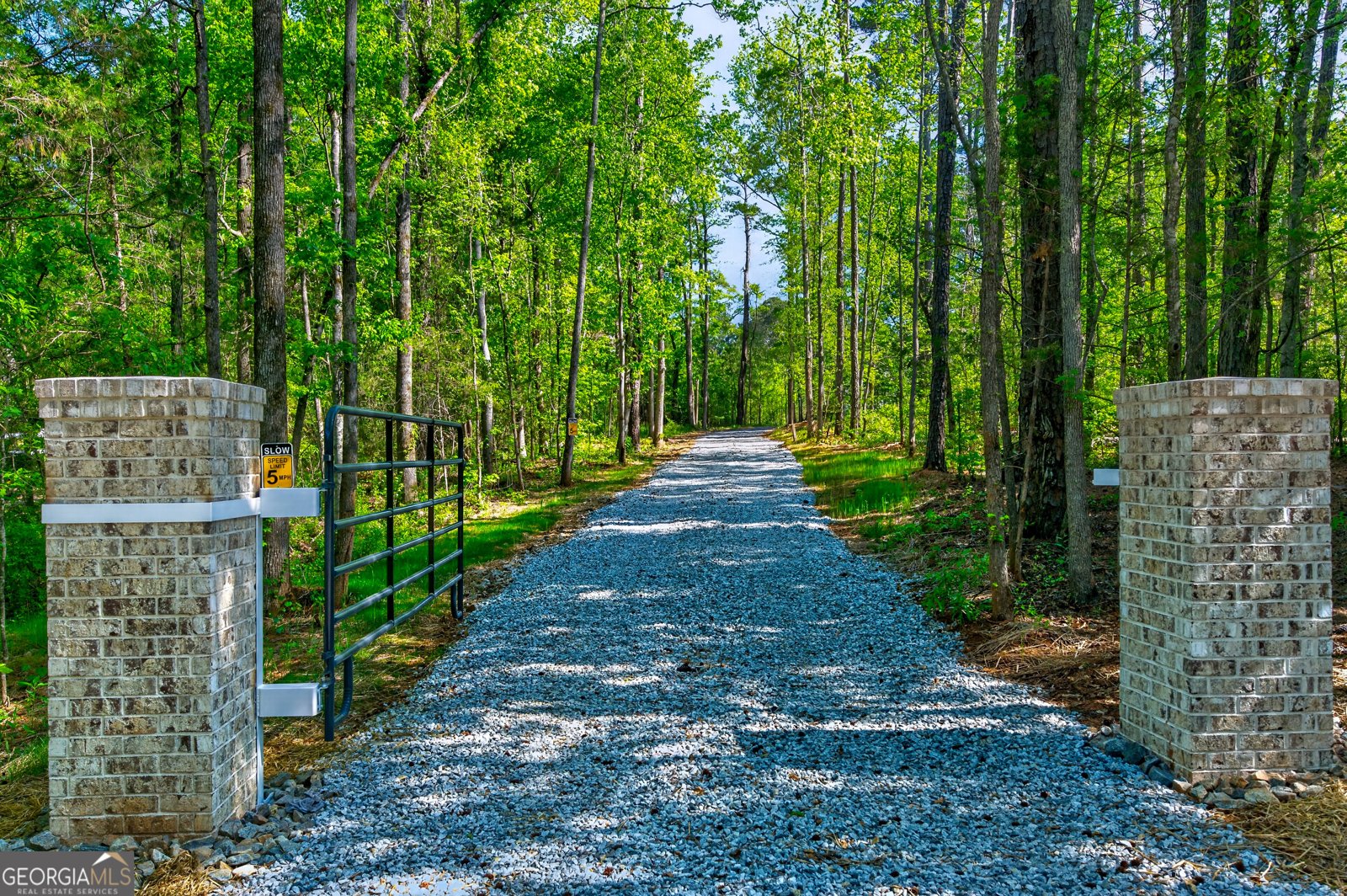 1455 Laney Drive Locust Grove - Photo 34
