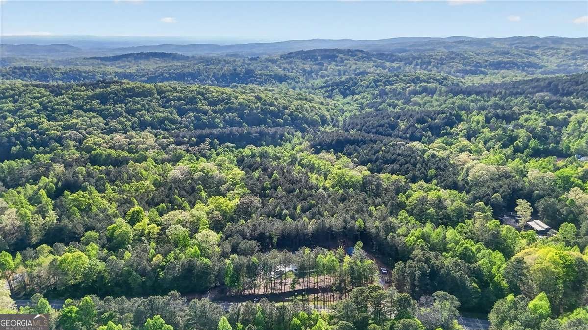 3315 Big Ridge Road Talking Rock - Photo 49