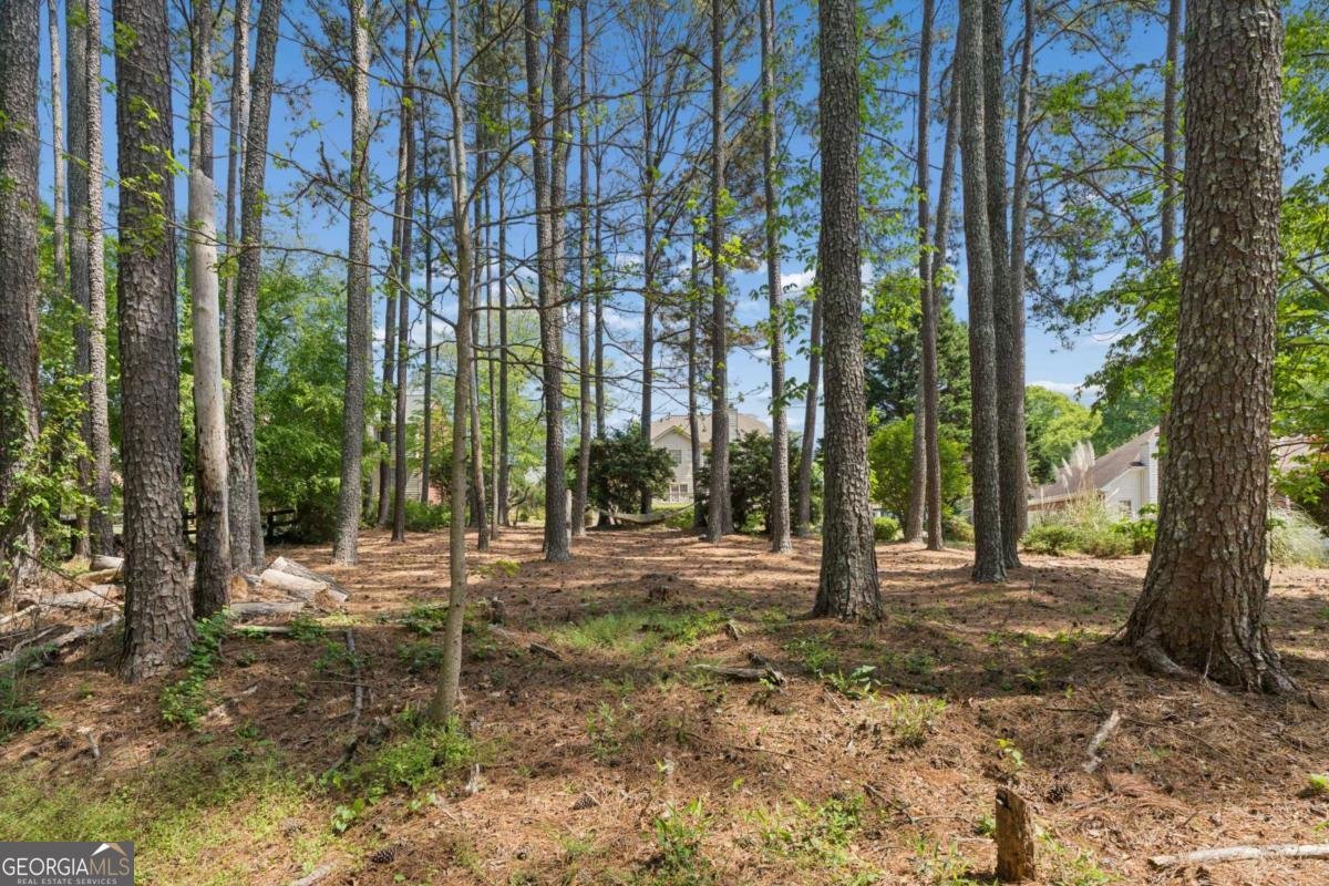 3075 Zermatt Way Snellville - Photo 39