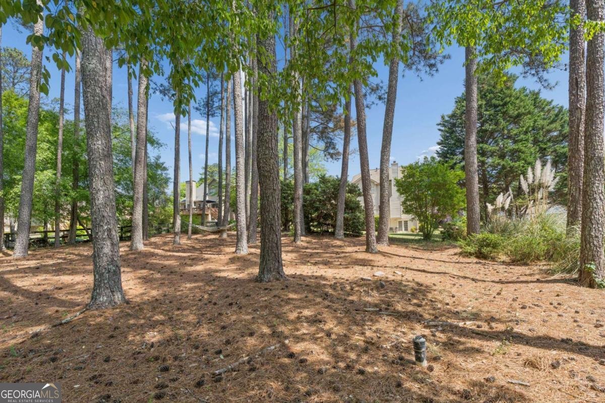 3075 Zermatt Way Snellville - Photo 42