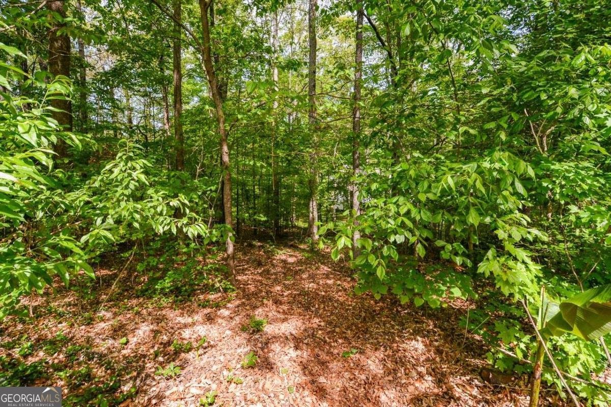 304 Cacique Court Woodstock - Photo 53