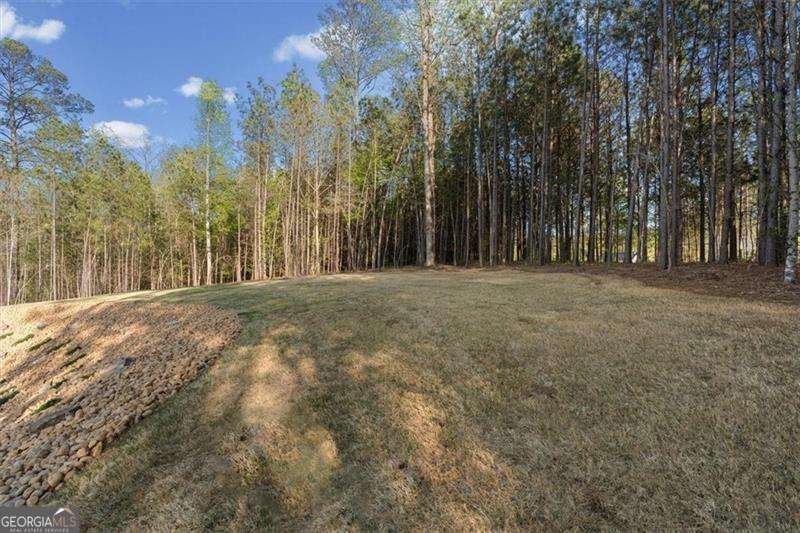 283 London Road Ball Ground - Photo 55