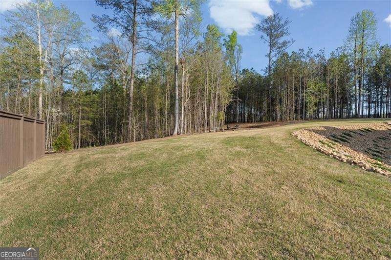 283 London Road Ball Ground - Photo 56