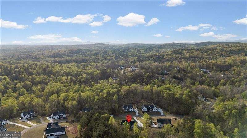 283 London Road Ball Ground - Photo 66