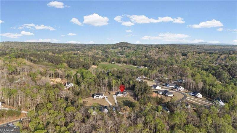 283 London Road Ball Ground - Photo 67