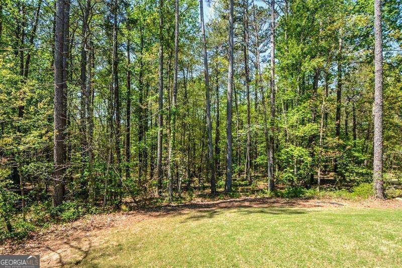 72 Hanover Drive Villa Rica - Photo 56