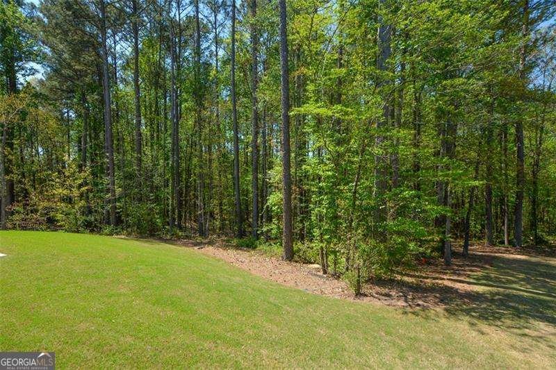 72 Hanover Drive Villa Rica - Photo 58