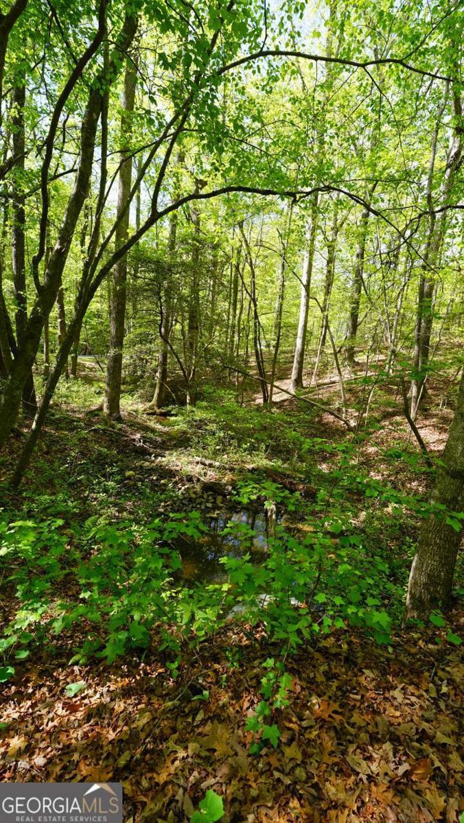 301 Clayton Trail Canton - Photo 18