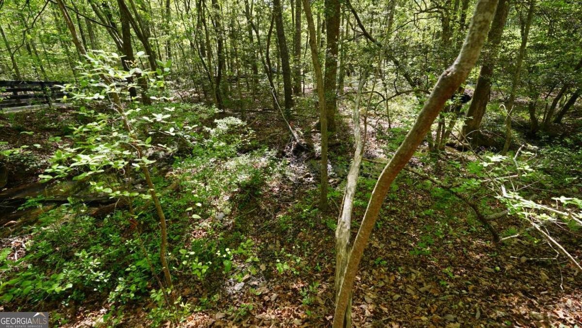 301 Clayton Trail Canton - Photo 21