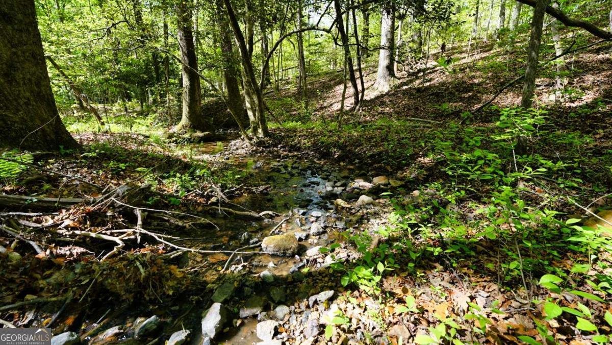 301 Clayton Trail Canton - Photo 22