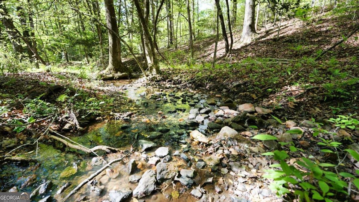 301 Clayton Trail Canton - Photo 23