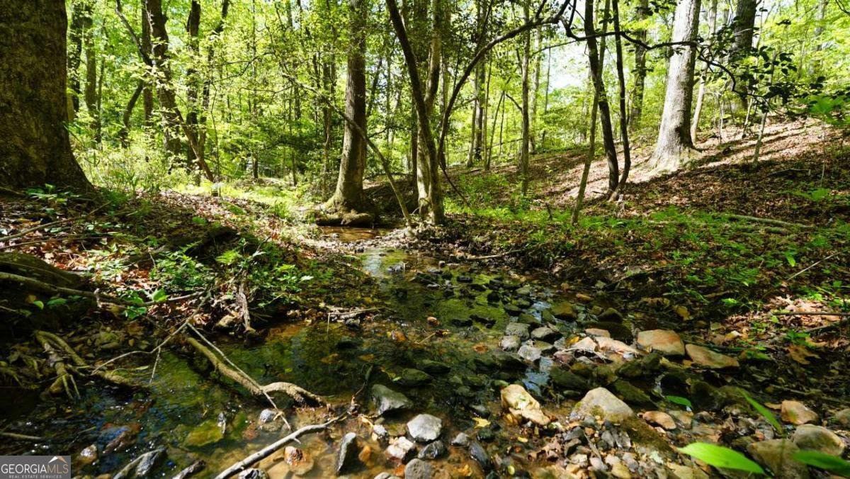 301 Clayton Trail Canton - Photo 24