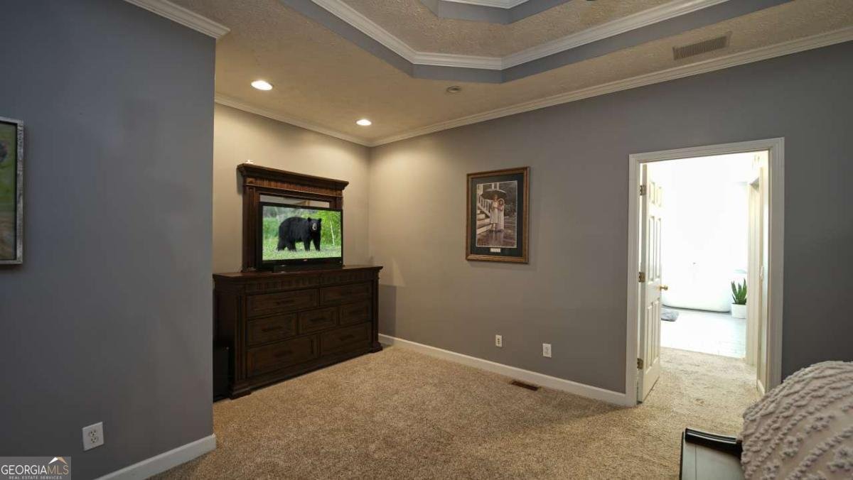 301 Clayton Trail Canton - Photo 61