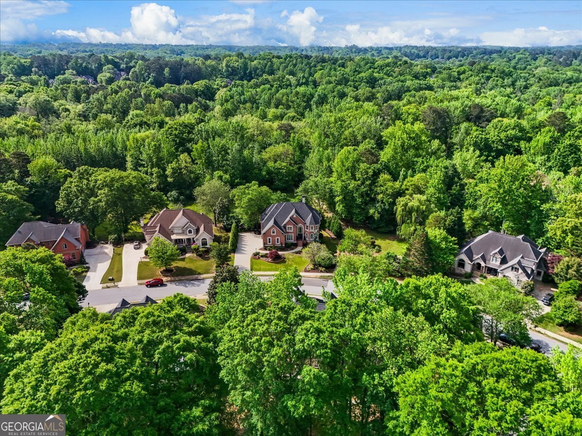 1185 Seale Drive Alpharetta - Photo 81