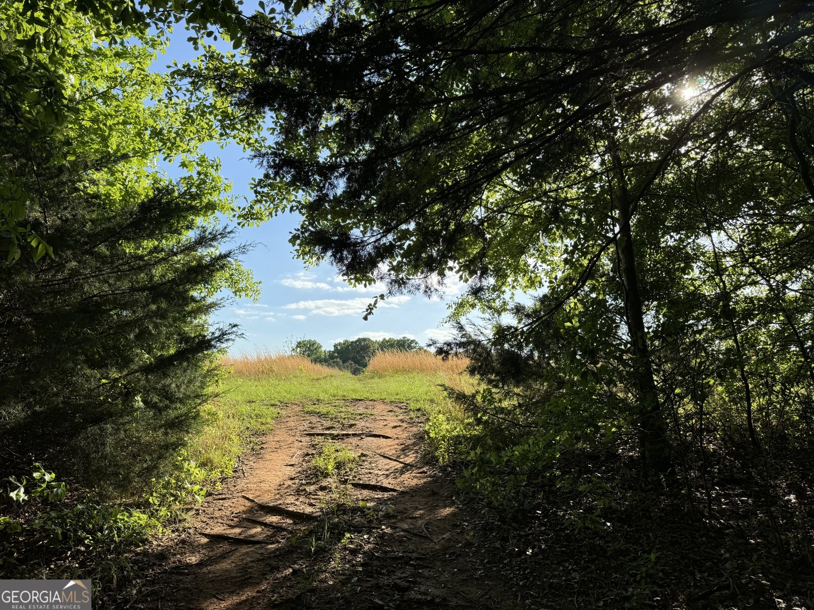 105 Magnolia Drive Monticello - Photo 62