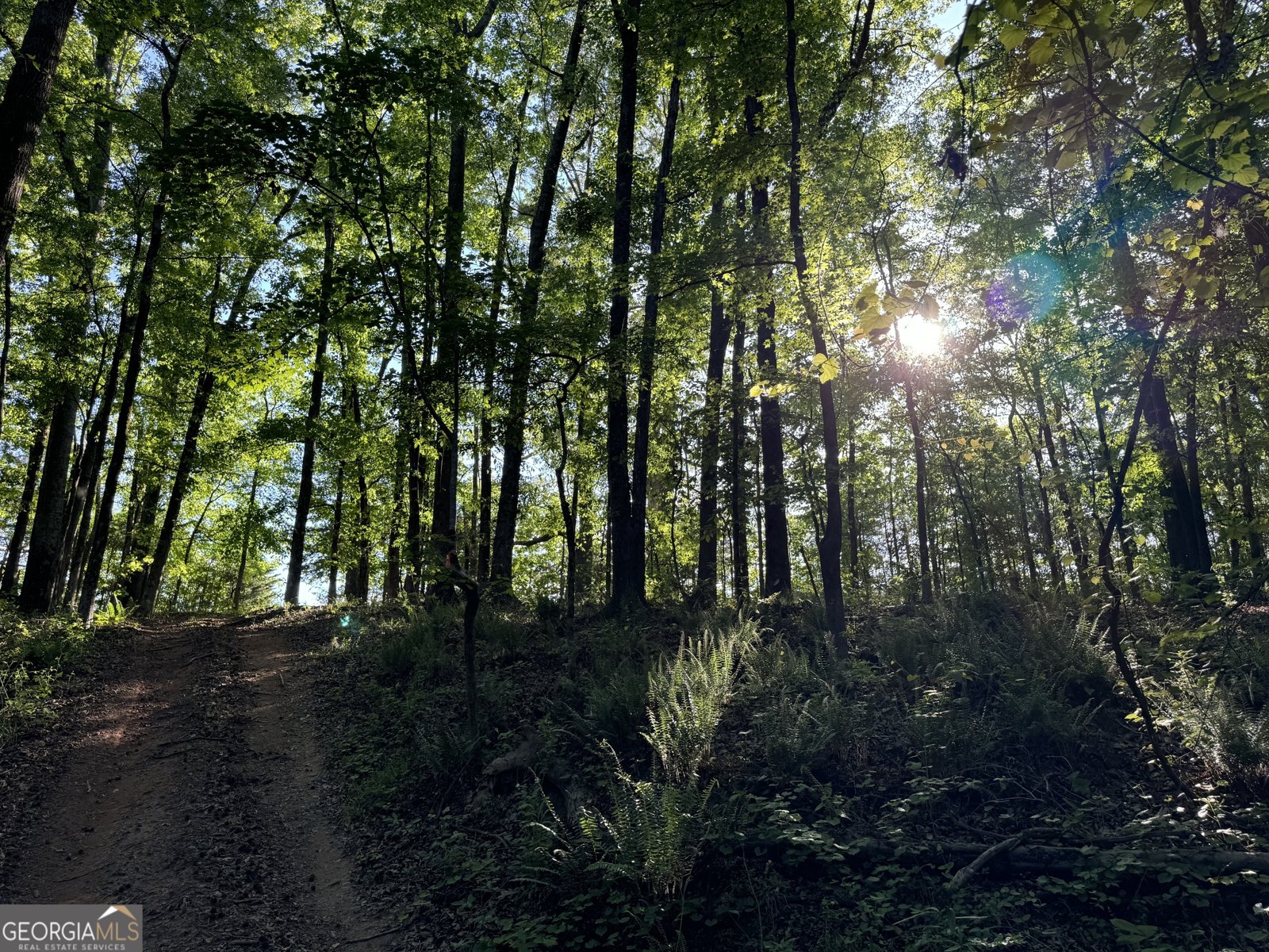 105 Magnolia Drive Monticello - Photo 63