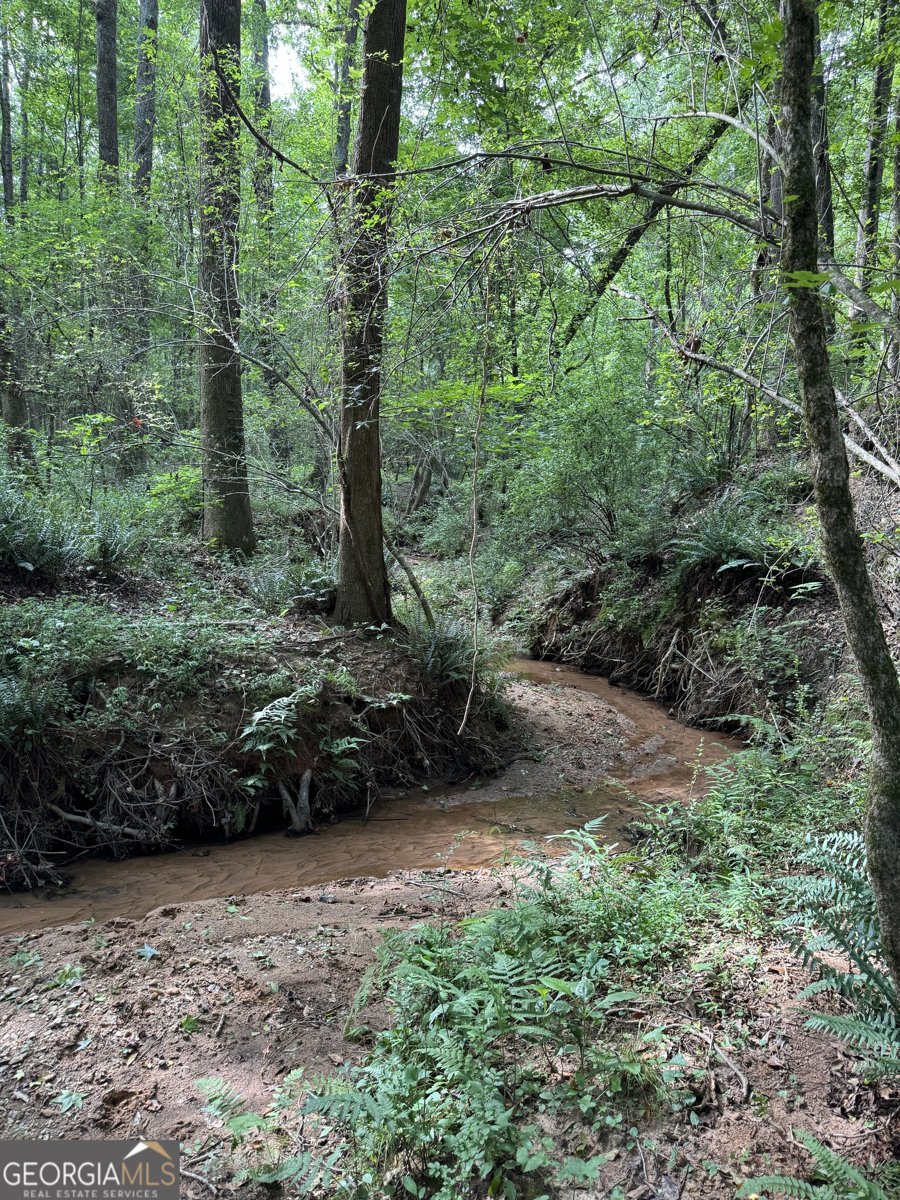 105 Magnolia Drive Monticello - Photo 64