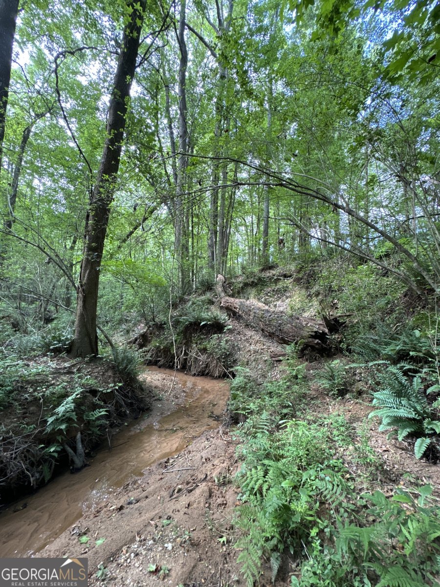 105 Magnolia Drive Monticello - Photo 66