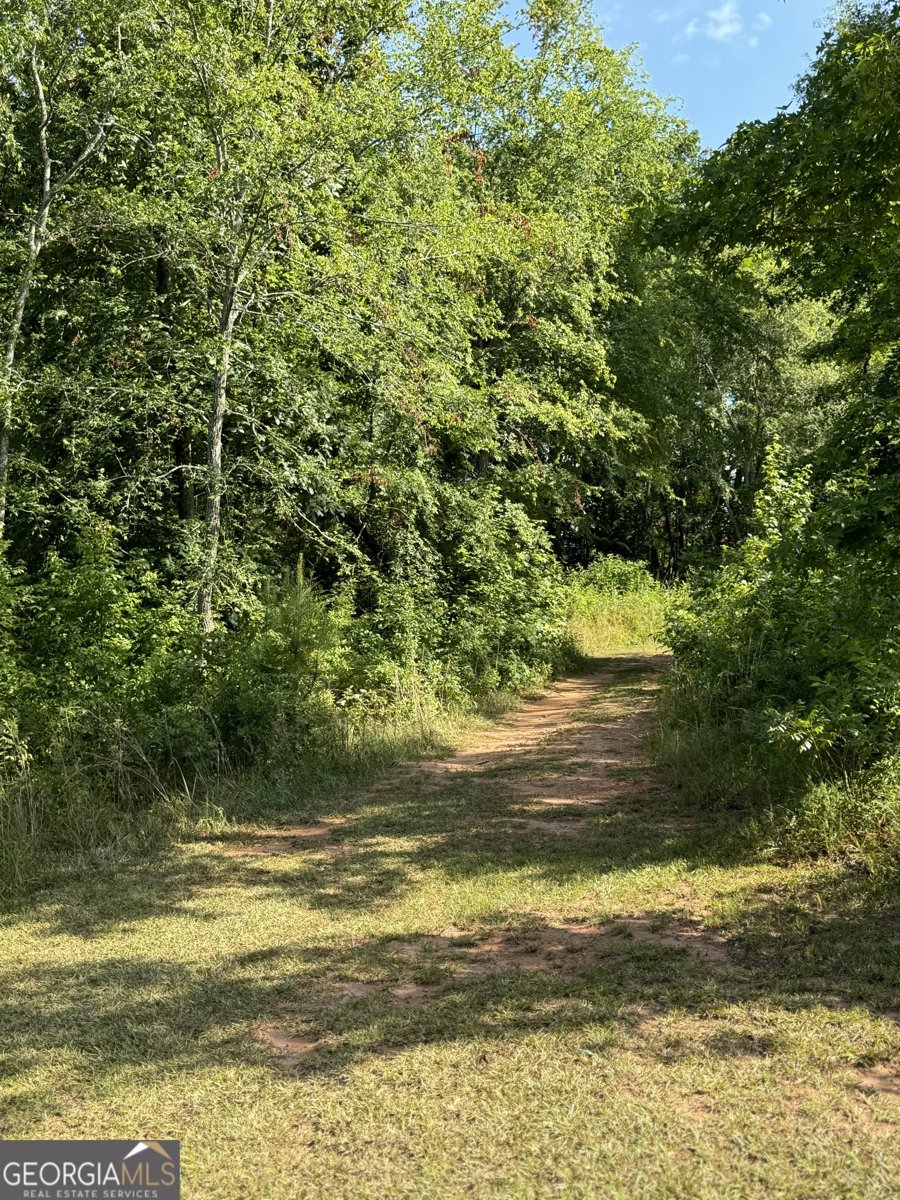 105 Magnolia Drive Monticello - Photo 70