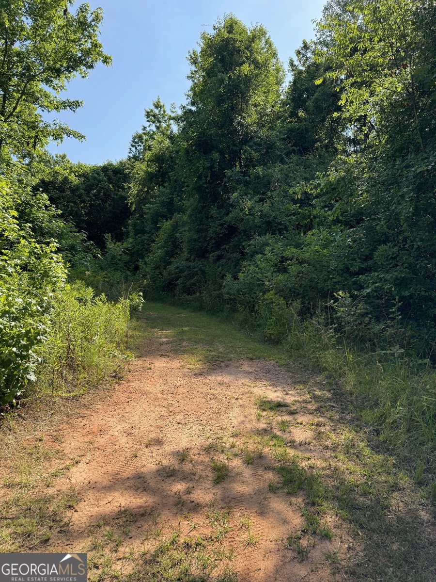 105 Magnolia Drive Monticello - Photo 71