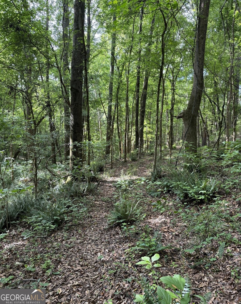 105 Magnolia Drive Monticello - Photo 76