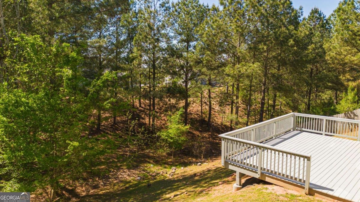 7101 Moye Drive Lithonia - Photo 22