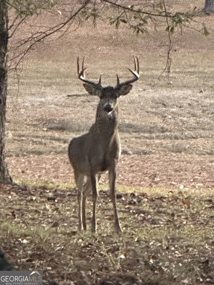 5400 Kings Camp Road Acworth - Photo 33