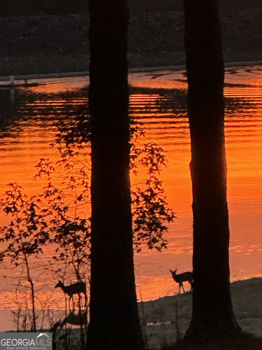 5400 Kings Camp Road Acworth - Photo 34