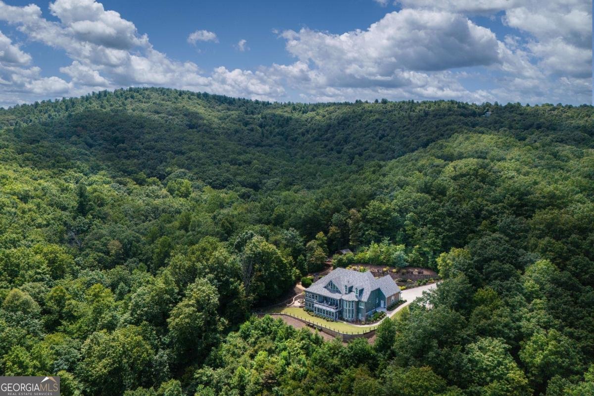 430 Sassafras Mountain Laurel Lane Jasper - Photo 6