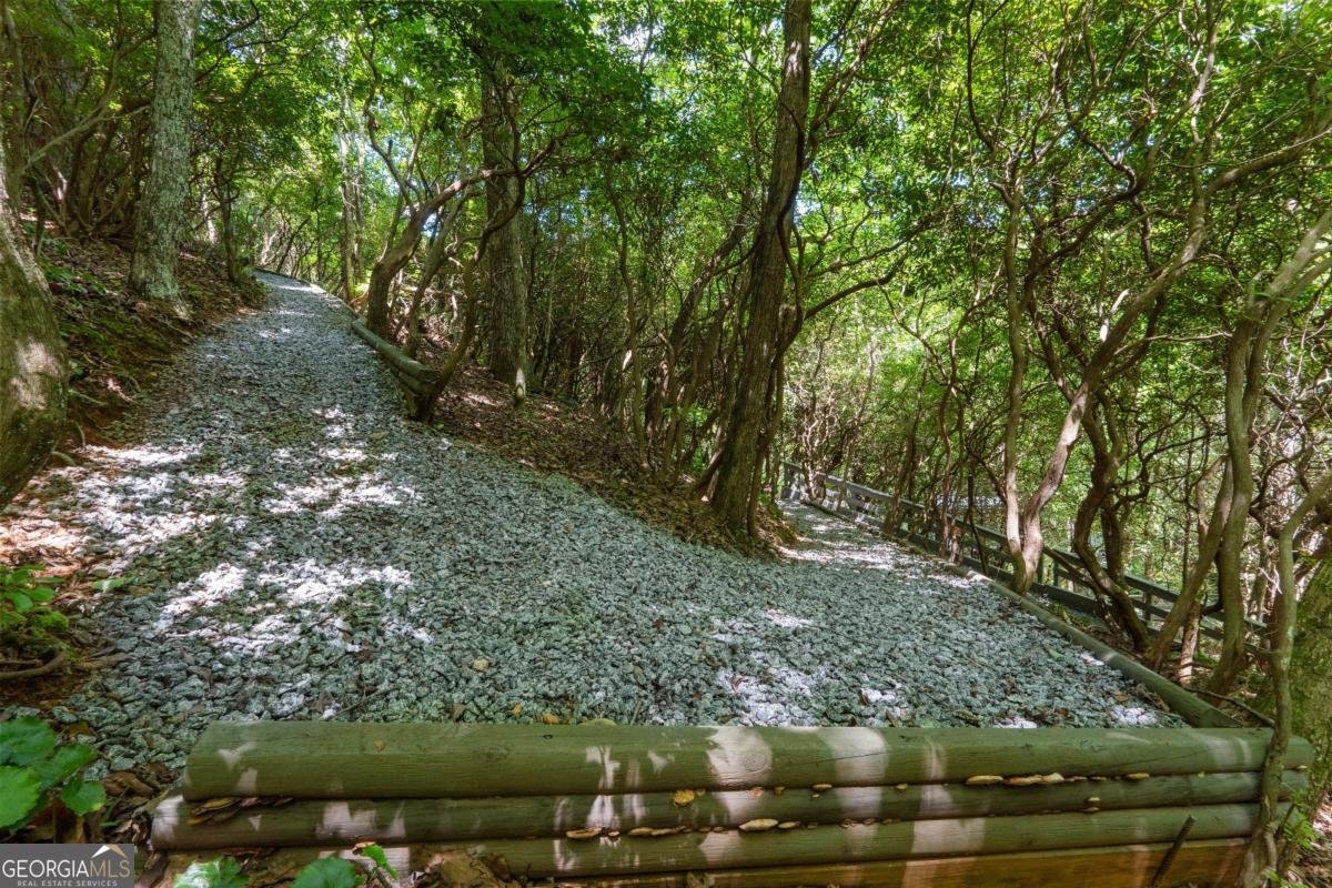 430 Sassafras Mountain Laurel Lane Jasper - Photo 77