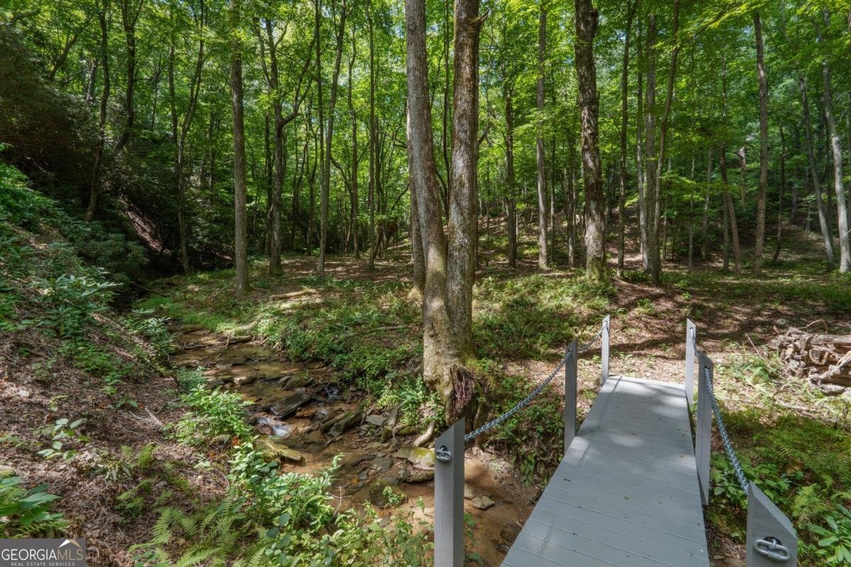 430 Sassafras Mountain Laurel Lane Jasper - Photo 83