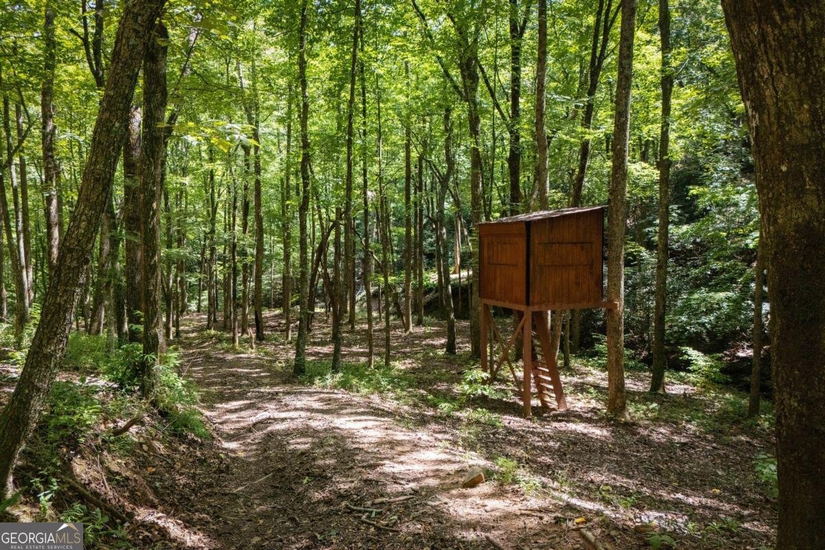 430 Sassafras Mountain Laurel Lane Jasper - Photo 85